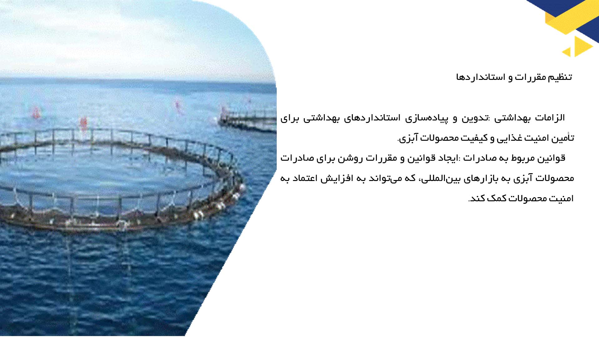 پاورپوینت در مورد بررسی سیاست‌های دولتی در حمایت از پرورش آبزیان